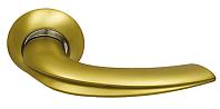 Дверная ручка Archie Sillur мод. 120 S.GOLD/P.GOLD (матовое золото/золото)
